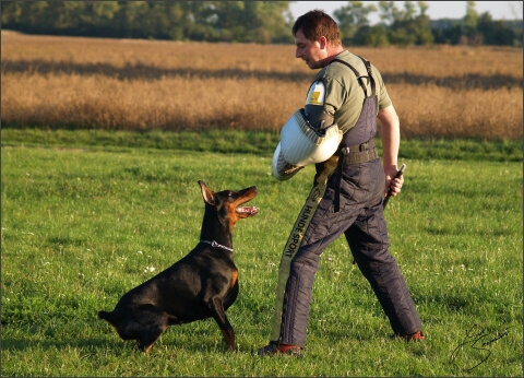 Training´s